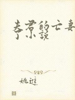 夫君的亡妻回来了小说