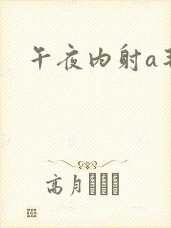 午夜内射a毛片