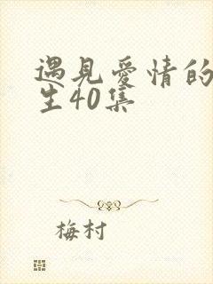 遇见爱情的利先生40集