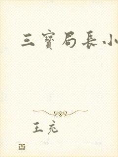三宝局长小说