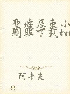 圣墟辰东小说未删版下载txt