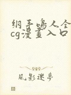 纲手鸣人全彩acg漫画入口封面