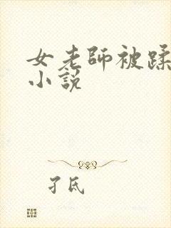 女老师被蹂躏的小说封面