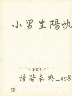 小男生阳帆封面