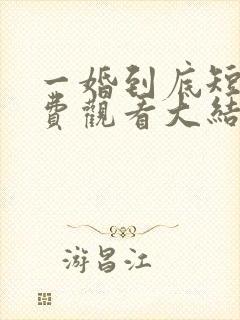 一婚到底短剧免费观看大结局封面