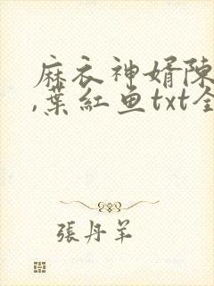 麻衣神婿陈黄皮,叶红鱼txt全文下载