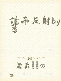 镜面反射by九葛封面