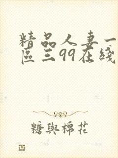 精品人妻一区二区三99在线