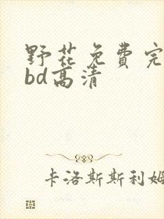野花免费完整版bd高清