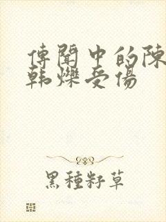 传闻中的陈芊芊韩烁受伤