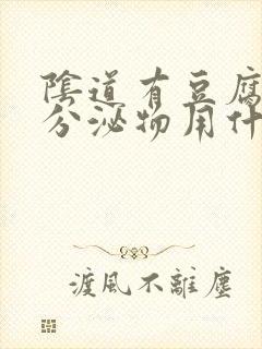 阴道有豆腐渣状分泌物用什么药