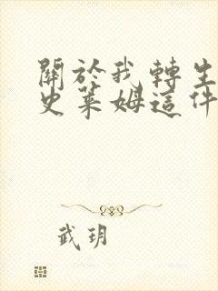 关于我转生成了史莱姆这件事小说