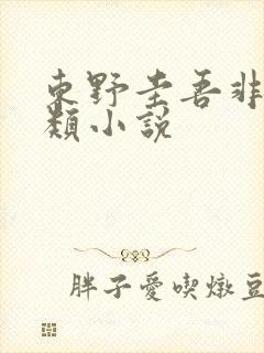 东野圭吾非推理类小说