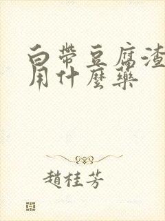 白带豆腐渣一般用什么药