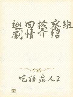 巡回检察组简介剧情介绍封面