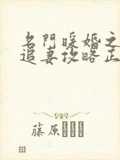 名门暖婚之权爷追妻攻略正版