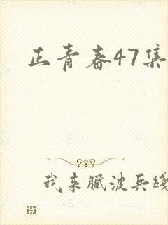 正青春47集封面