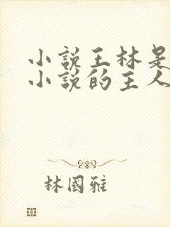小说王林是哪本小说的主人公封面