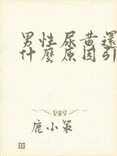 男性尿黄还疼是什么原因引起的