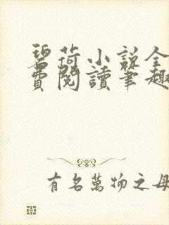 碧荷小说全文免费阅读笔趣阁