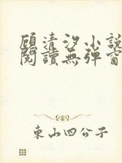 顾清汐小说免费阅读无弹窗