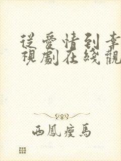 从爱情到幸福电视剧在线观看