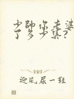 少帅你老婆又跑了多少集?