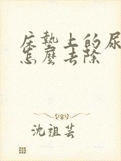 床垫上的尿骚味怎么去除