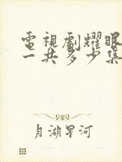 电视剧耀眼的你一共多少集