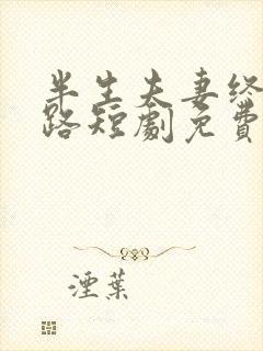 半生夫妻终成陌路短剧免费观看全集