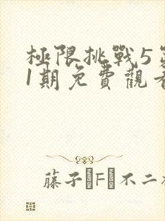 极限挑战5第11期免费观看