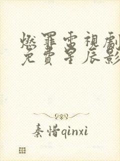 燃罪电视剧全集免费星辰影院