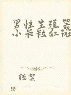 男性生殖器口长小米粒红斑