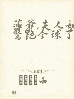 薄爷,夫人她又惊艳全球了全封面