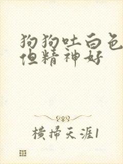 狗狗吐白色泡沫但精神好