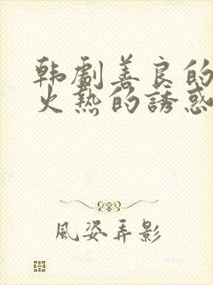 韩剧善良的嫂子火热的诱惑封面