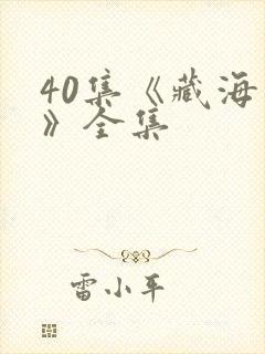 40集《藏海传》全集