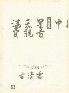 满天星·中国免费观看