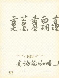 舌苔黄白有齿痕是怎么调理