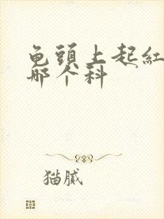 龟头上起红斑挂哪个科