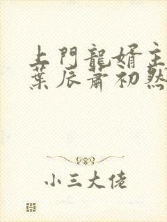 上门龙婿主人公叶辰萧初然