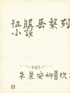 征服岳系列短篇小说封面