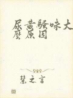 尿黄骚味大是什么原因