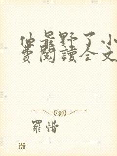 他最野了小说免费阅读全文