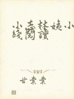 小志林姨小说在线阅读