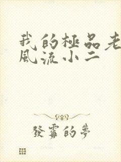 我的极品老婆们风流小二