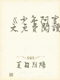 《少年阿宾》全文免费阅读