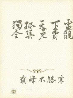 独孤天下电视剧全集免费观看