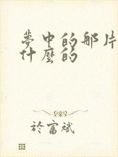 梦中的那片海讲什么的