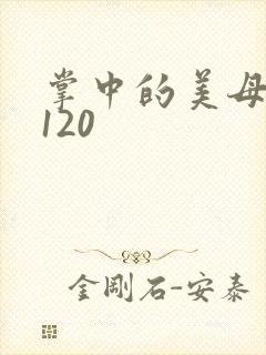 掌中的美母版主120封面